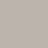 DMC Stranded Cotton 100g Cone 648 Beaver Gray Lt (Art 5214)
