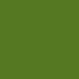 DMC Stranded Cotton 100g Cone 904 Parrot Green V Dk (Art 5214)