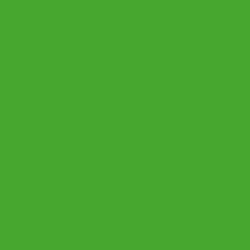 DMC Stranded Cotton 100g Cone 702 Kelly Green (Art 5214)