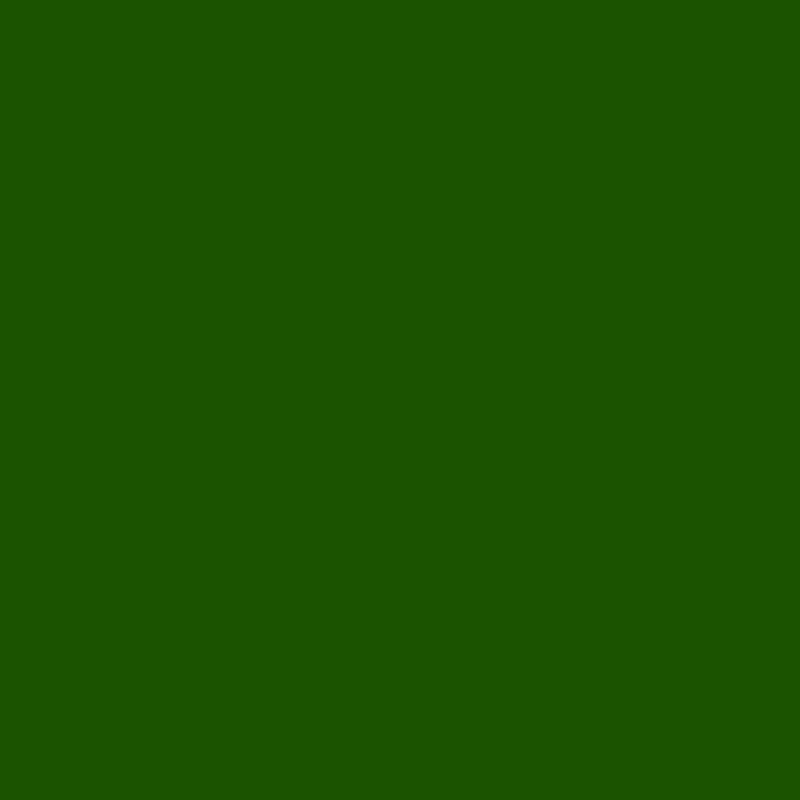 DMC Stranded Cotton 100g Cone 895 Hunter Green Vy Dk (Art 5214)