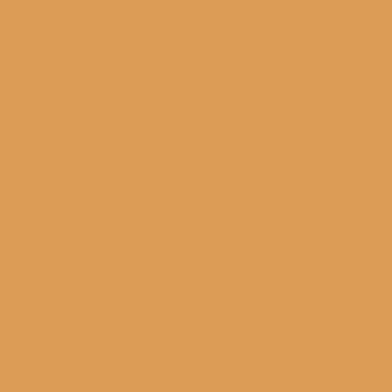 DMC Stranded Cotton 100g Cone 977 Golden Brown Light (Art 5214)