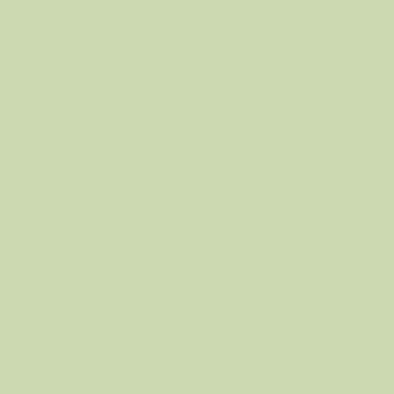 DMC Stranded Cotton 100g Cone 3348 Yellow Green Lt (Art 5214)