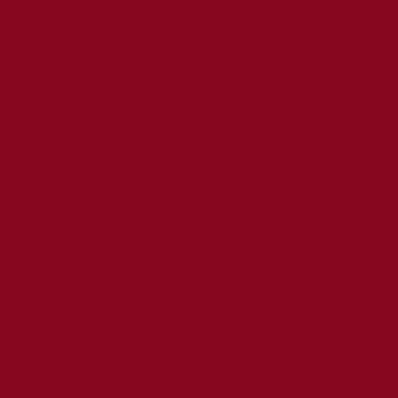 DMC Stranded Cotton 100g Cone 815 Garnet Medium (Art 5214)