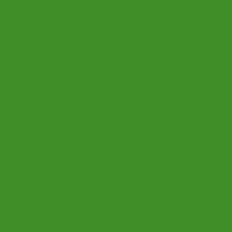 DMC Stranded Cotton 100g Cone 701 Green Light (Art 5214)