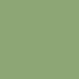 DMC Stranded Cotton 100g Cone 989 Forest Green (Art 5214)