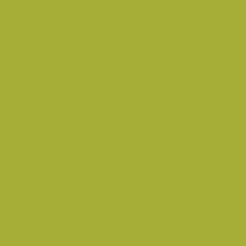 DMC Stranded Cotton 100g Cone 581 Moss Green (Art 5214)