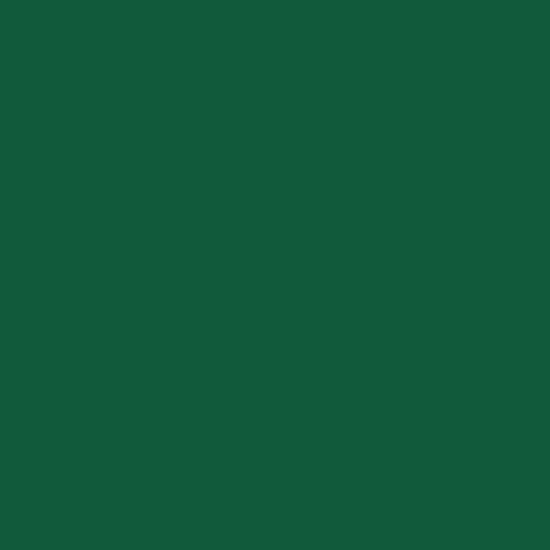 DMC Stranded Cotton 100g Cone 3818 Emerald Grn Ult V Dk (Art 5214)
