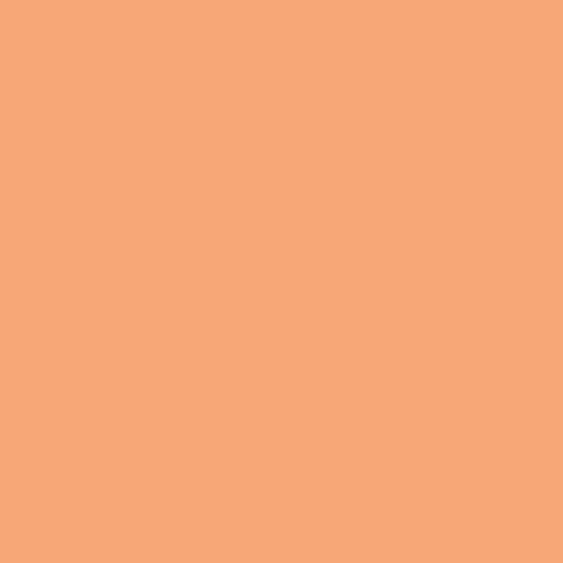 DMC Stranded Cotton 100g Cone 402 Mahogany Vy Lt (Art 5214)