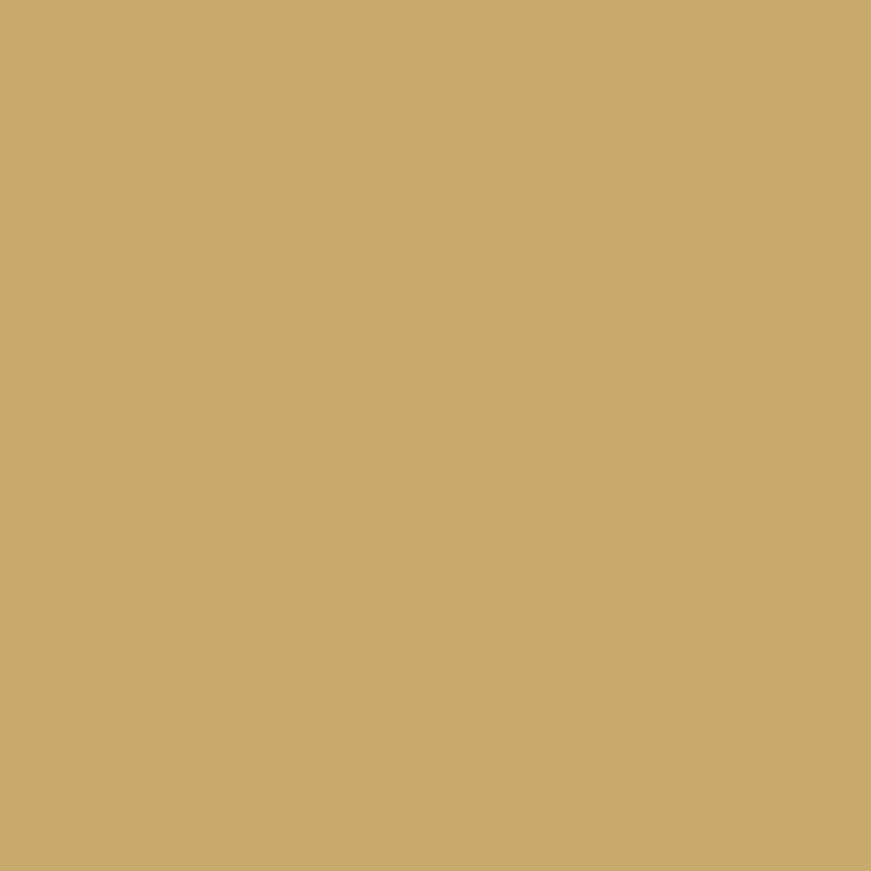 DMC Stranded Cotton 100g Cone 833 Golden Olive Lt (Art 5214)
