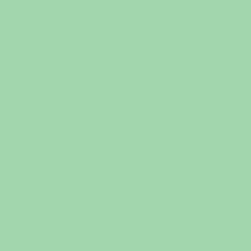 DMC Stranded Cotton 100g Cone 955 Nile Green Light (Art 5214)