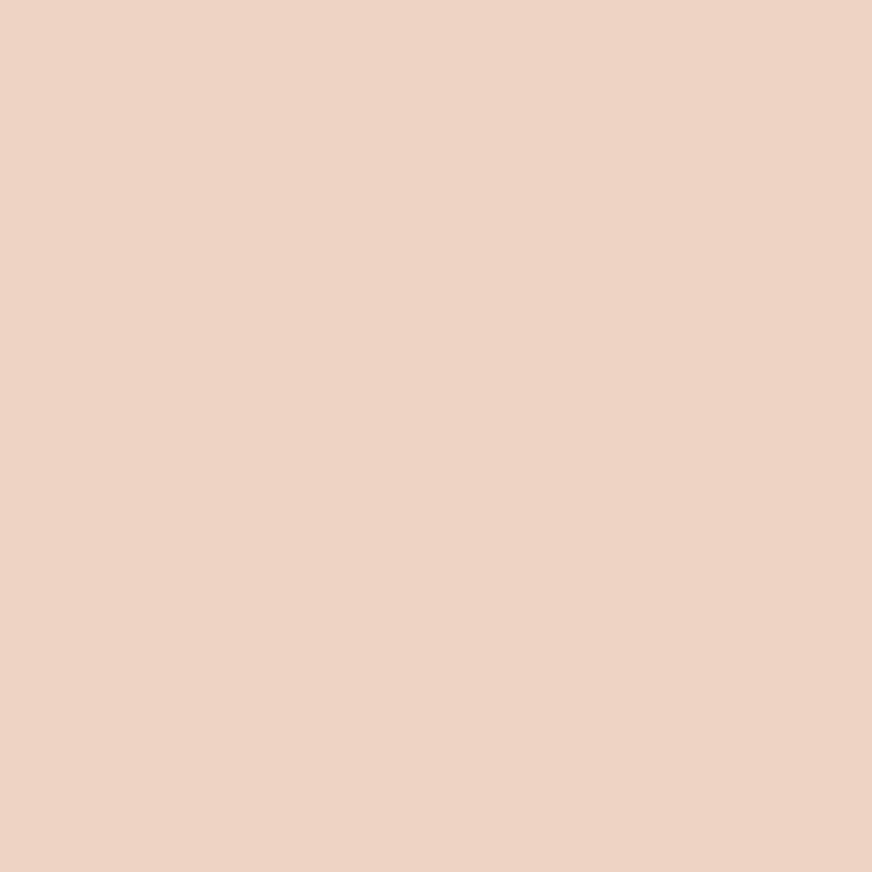 DMC Stranded Cotton 100g Cone 950 Desert Sand Light (Art 5214)