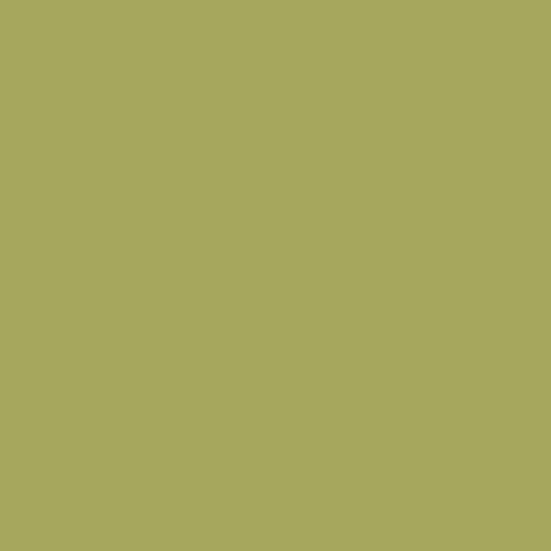 DMC Stranded Cotton 100g Cone 3012 Khaki Green Md (Art 5214)