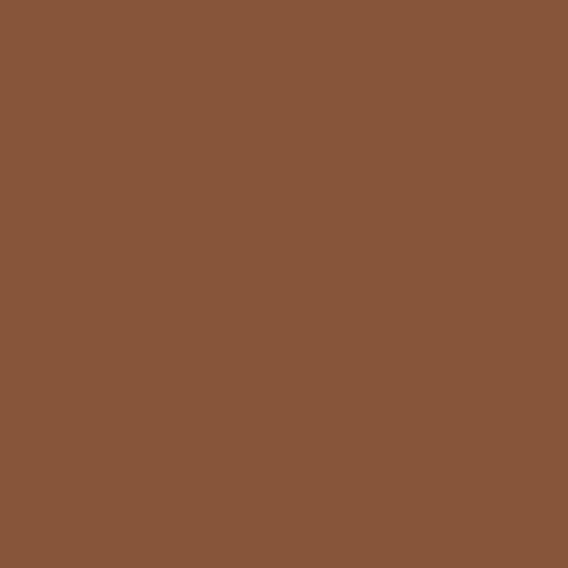 DMC Stranded Cotton 100g Cone 632 Desert Sand Ult Vy Dk (Art 5214)