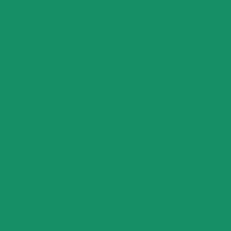 DMC Stranded Cotton 100g Cone 911 Emerald Green Med (Art 5214)