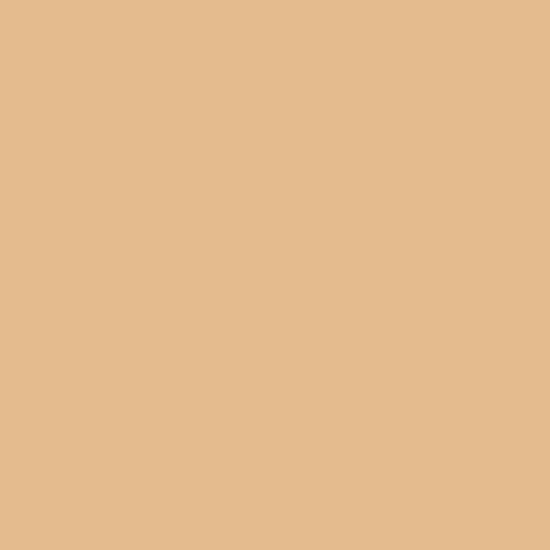 DMC Stranded Cotton 100g Cone 437 Tan Light (Art 5214)