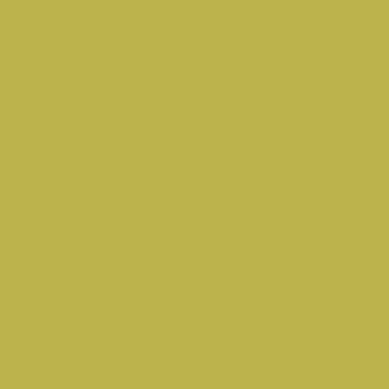 DMC Stranded Cotton 100g Cone 733 Olive Green Md (Art 5214)