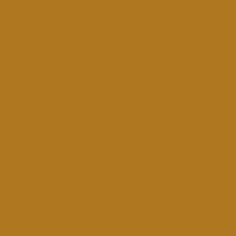 DMC Stranded Cotton 100g Cone 782 Topaz Dark (Art 5214)