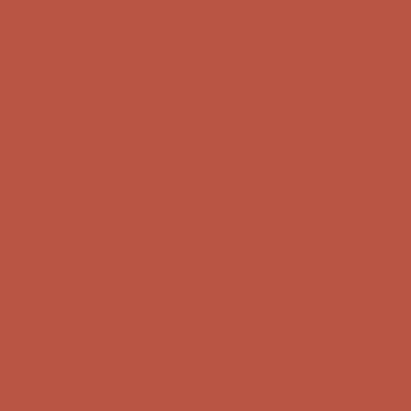 DMC Stranded Cotton 100g Cone 3830 Terra Cotta (Art 5214)