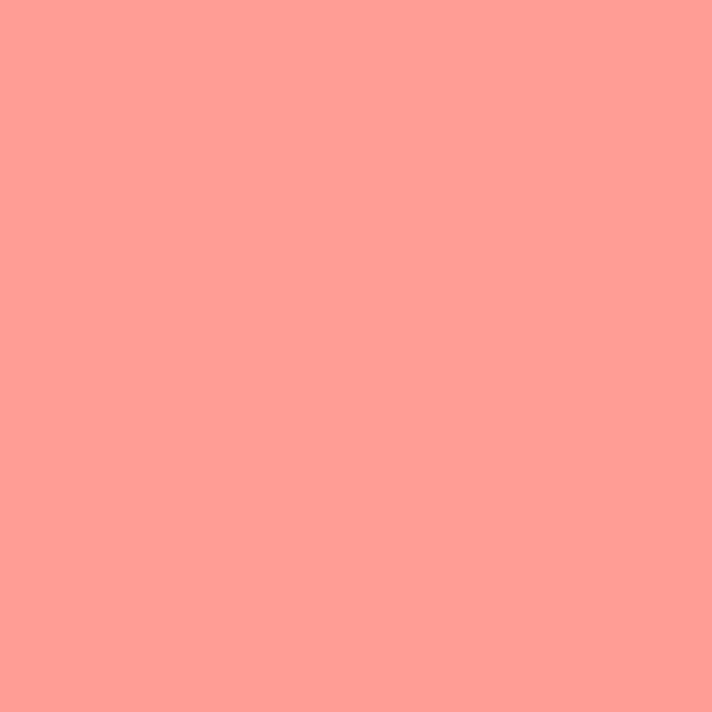 DMC Stranded Cotton 100g Cone 352 Coral Light (Art 5214)