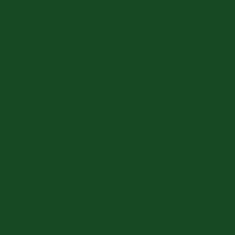 DMC Stranded Cotton 100g Cone 890 Pistachio Grn Ult V D (Art 5214)