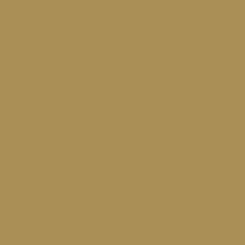 DMC Stranded Cotton 100g Cone 831 Golden Olive Md (Art 5214)