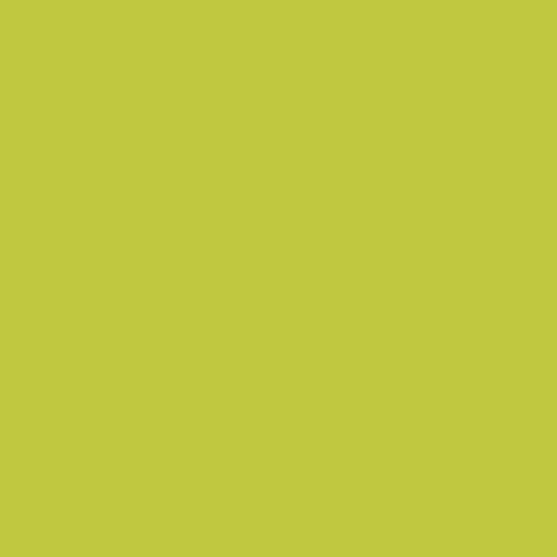 DMC Stranded Cotton 100g Cone 166 Moss Green Md Lt (Art 5214)