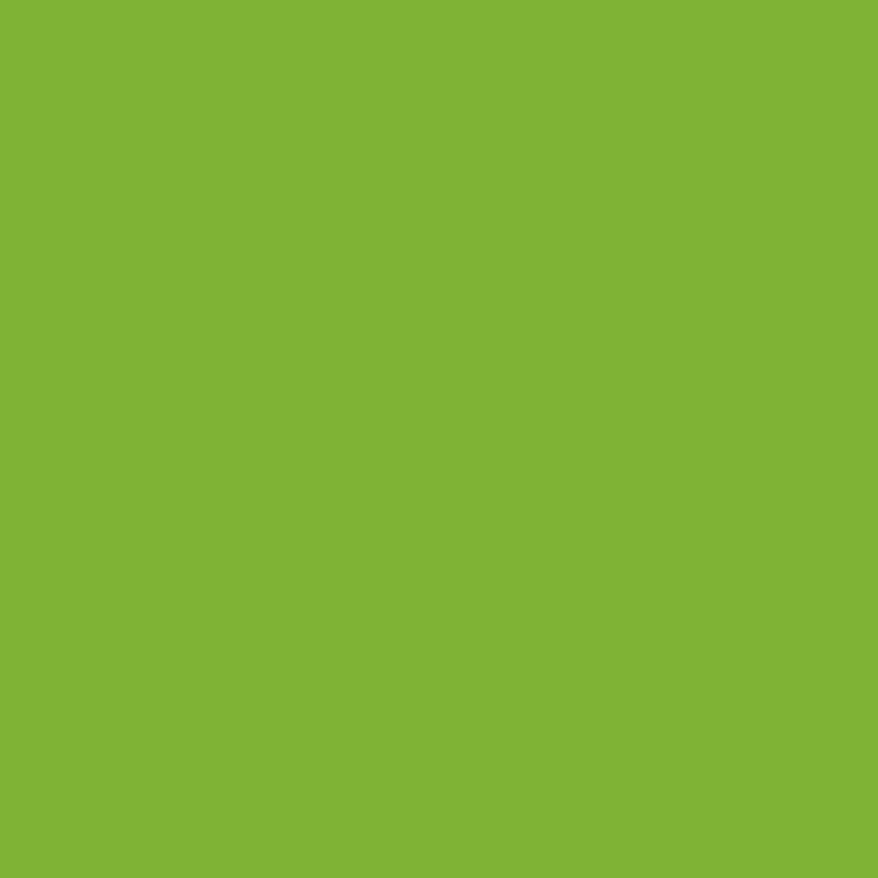 DMC Stranded Cotton 100g Cone 906 Parrot Green Md (Art 5214)