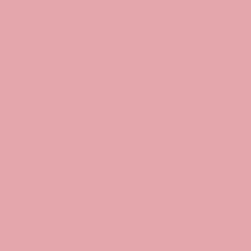 DMC Stranded Cotton 100g Cone 3354 Dusty Rose Light (Art 5214)