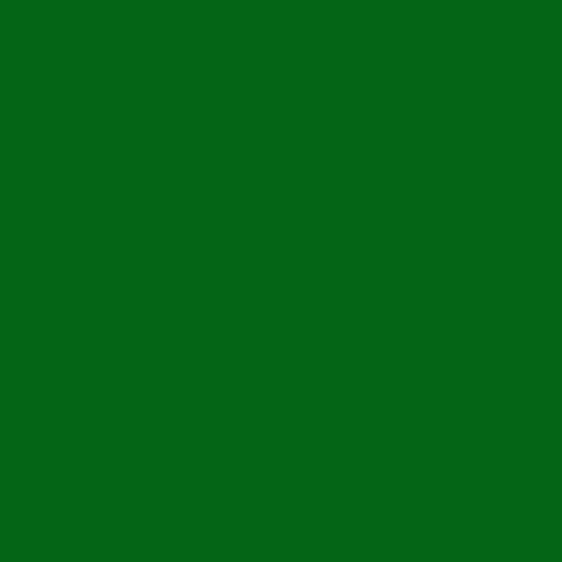 DMC Stranded Cotton 100g Cone 699 Green (Art 5214)