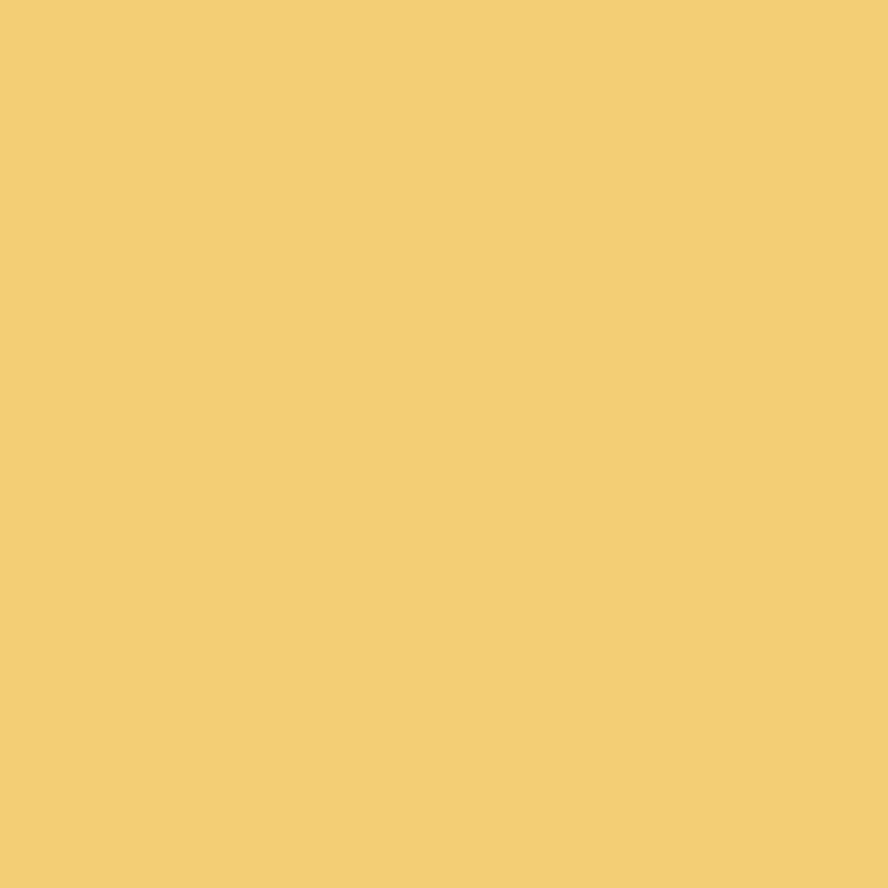 DMC Stranded Cotton 100g Cone 3821 Straw (Art 5214)