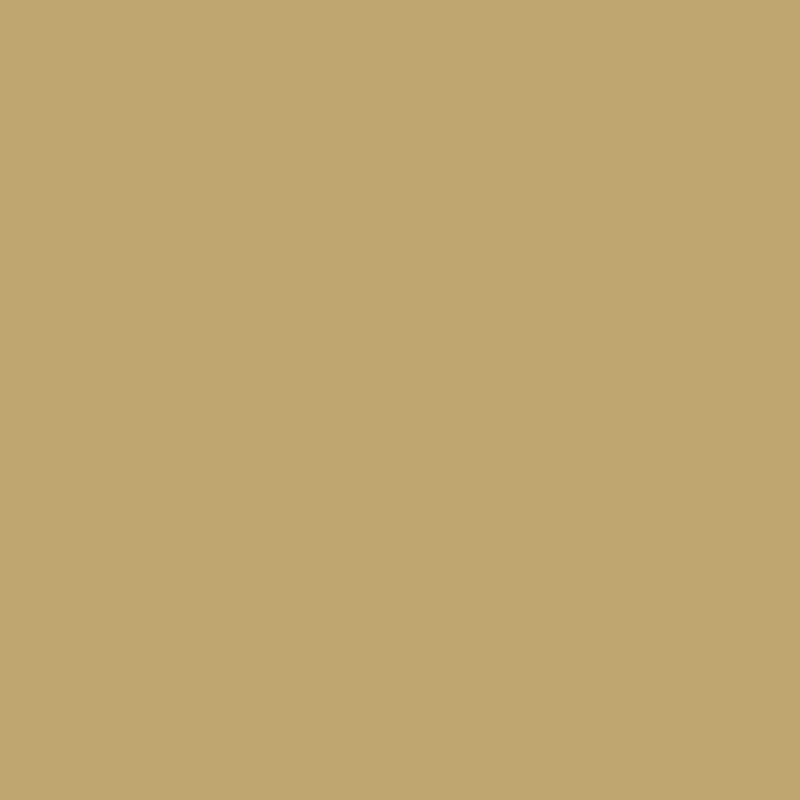 DMC Stranded Cotton 100g Cone 371 Mustard (Art 5214)