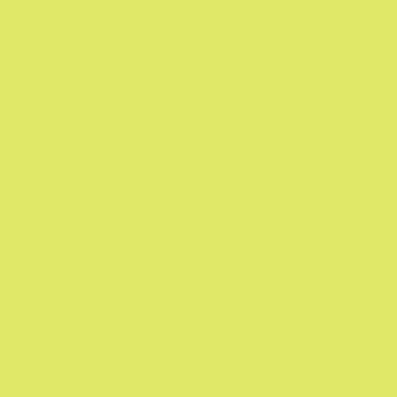 DMC Stranded Cotton 100g Cone 3819 Moss Green Lt (Art 5214)