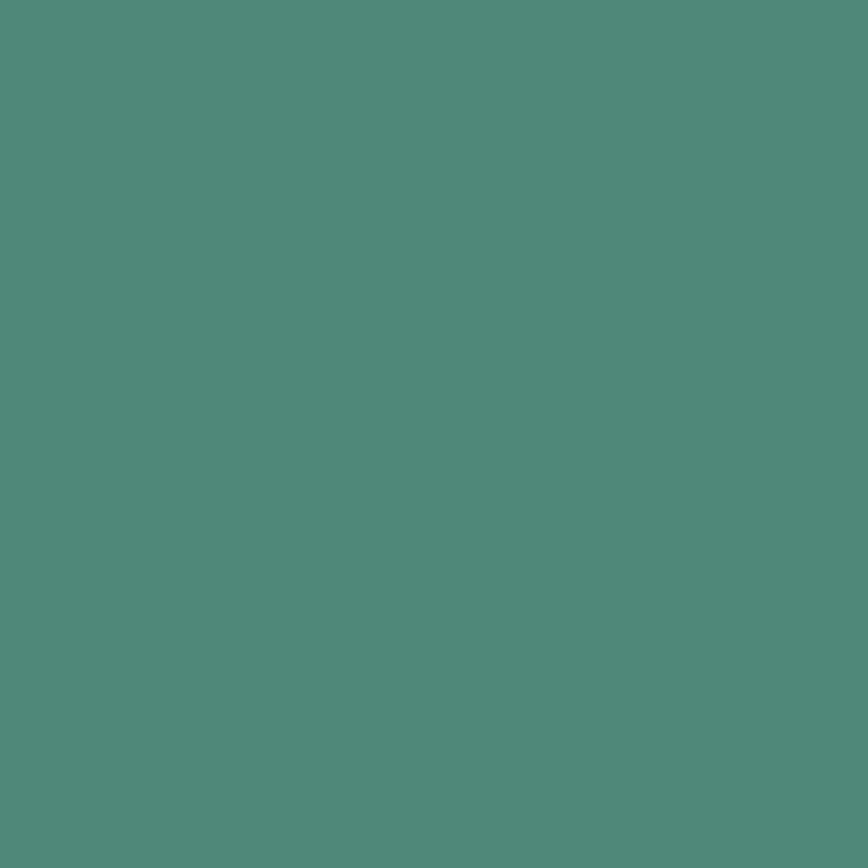 DMC Stranded Cotton 100g Cone 3814 Aquamarine (Art 5214)