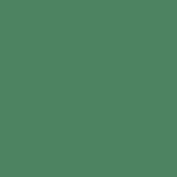 DMC Stranded Cotton 100g Cone 163 Celadon Green Md (Art 5214)
