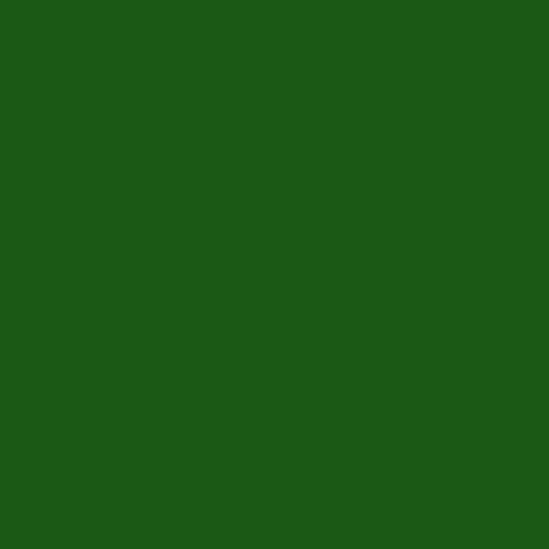 DMC Stranded Cotton 100g Cone 3345 Hunter Green Dk (Art 5214)