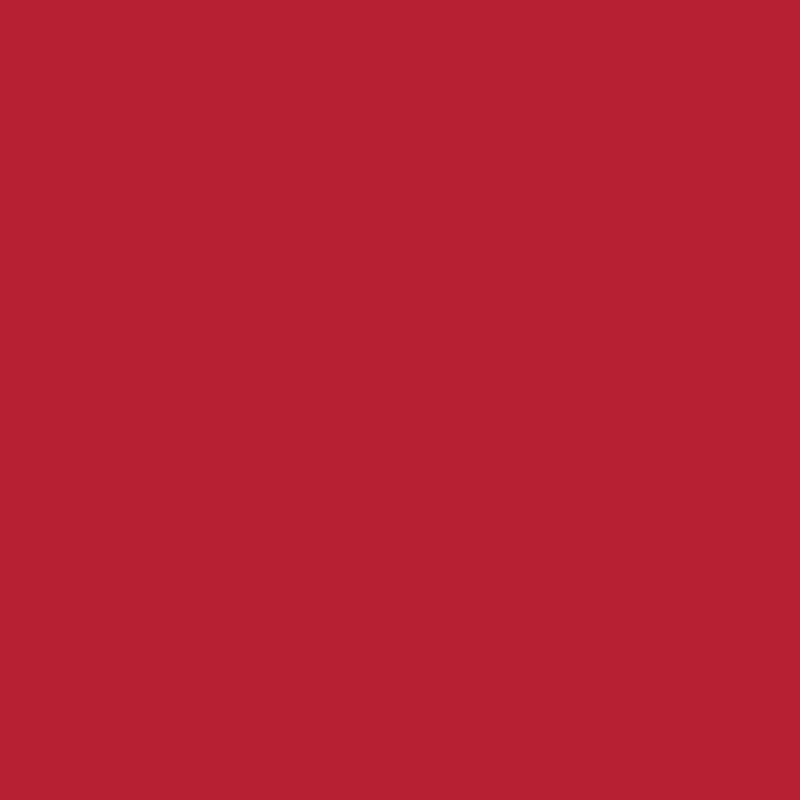 DMC Stranded Cotton 100g Cone 304 Red Medium (Art 5214)