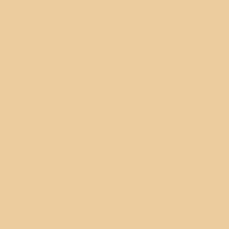 DMC Stranded Cotton 100g Cone 738 Tan Very Light (Art 5214)