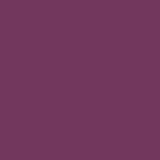 DMC Stranded Cotton 100g Cone 3834 Grape Dark (Art 5214)