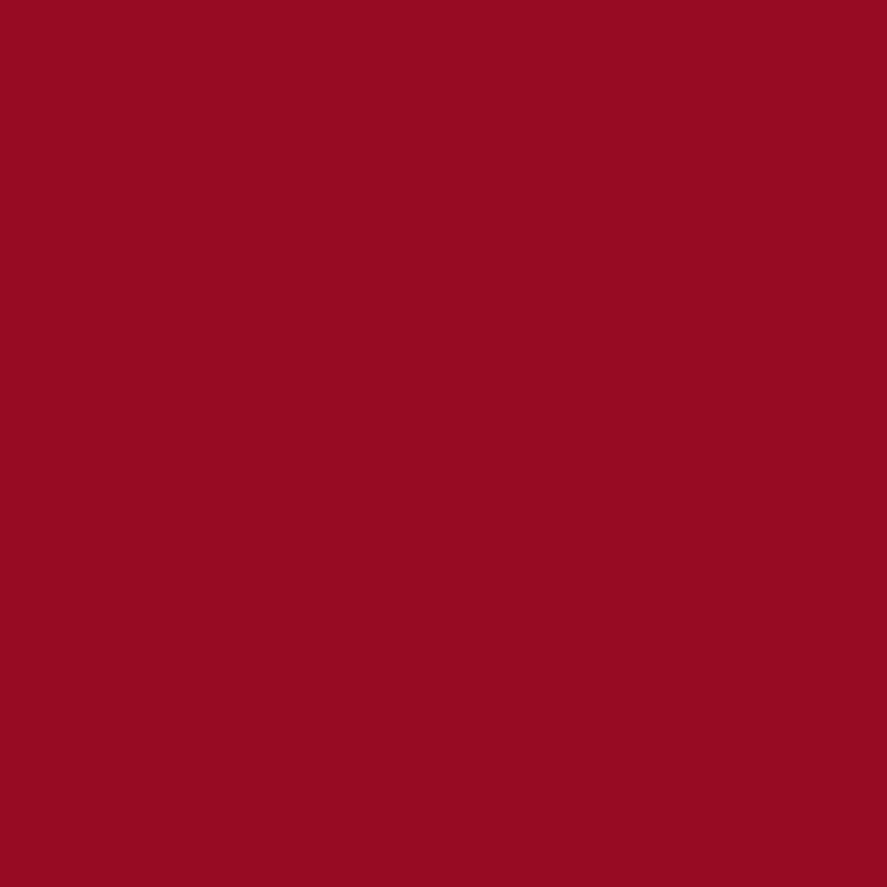 DMC Stranded Cotton 100g Cone 816 Garnet (Art 5214)