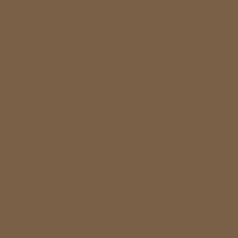 DMC Stranded Cotton 100g Cone 610 Drab Brown Dk (Art 5214)