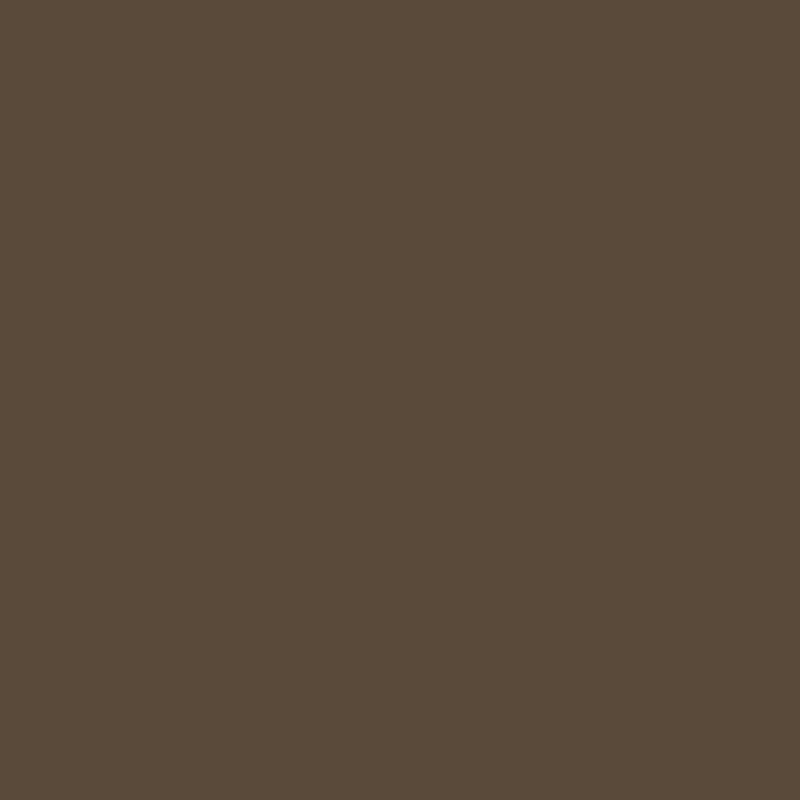 DMC Stranded Cotton 100g Cone 838 Beige Brown Vy Dk (Art 5214)
