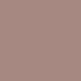 DMC Stranded Cotton 100g Cone 3861 Cocoa Light (Art 5214)