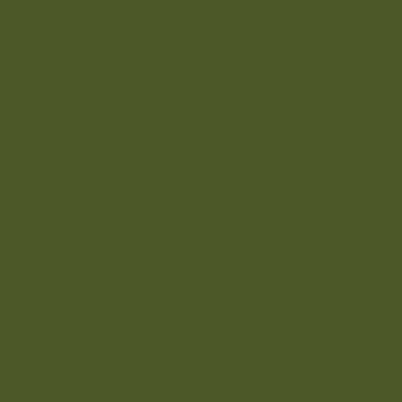 DMC Stranded Cotton 100g Cone 936 Avocado Grn V Dk (Art 5214)