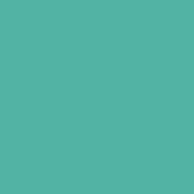 DMC Stranded Cotton 100g Cone 3849 Teal Green Light (Art 5214)