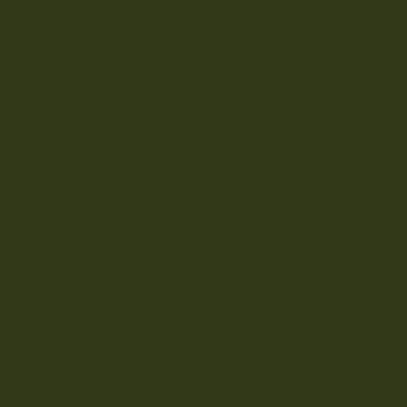 DMC Stranded Cotton 100g Cone 934 Avocado Grn Black (Art 5214)