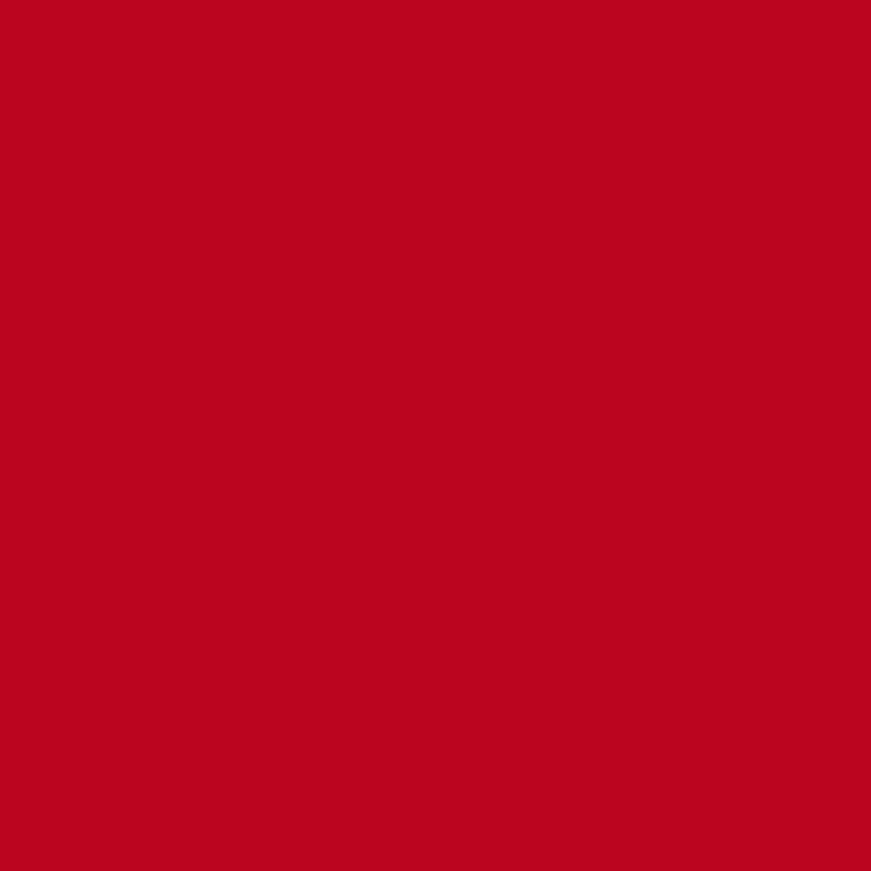 DMC Stranded Cotton 100g Cone 817 Coral Red Very Dark (Art 5214)