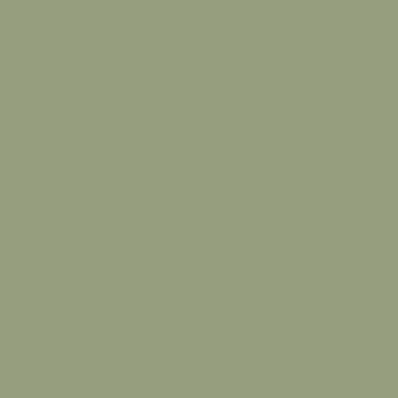 DMC Stranded Cotton 100g Cone 522 Fern Green (Art 5214)