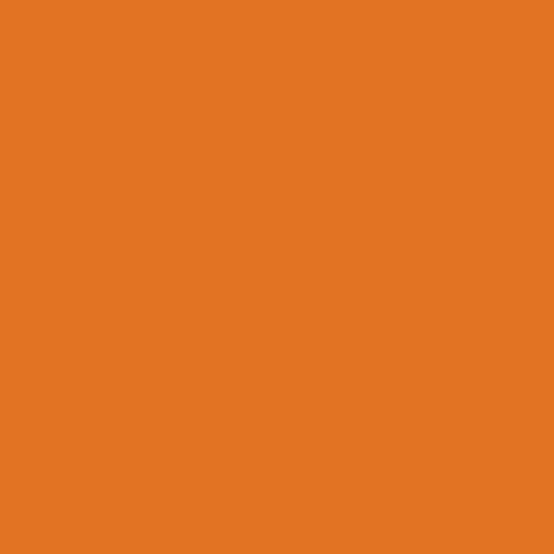 DMC Stranded Cotton 100g Cone 922 Copper Light (Art 5214)