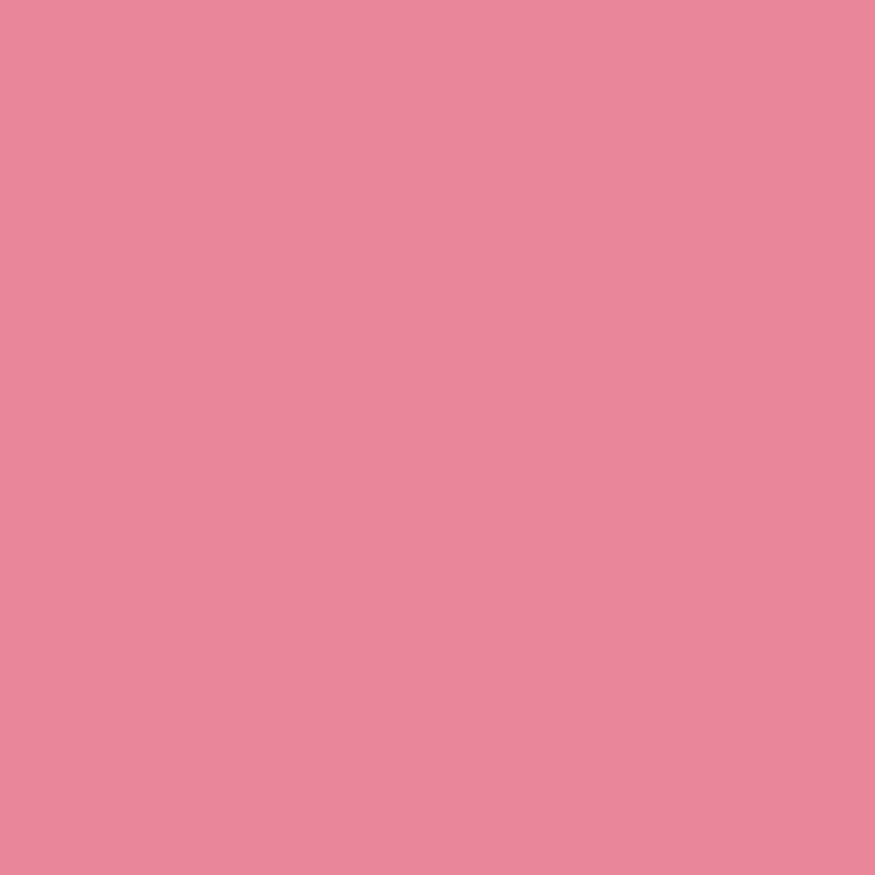 DMC Stranded Cotton 100g Cone 3833 Raspberry Light (Art 5214)