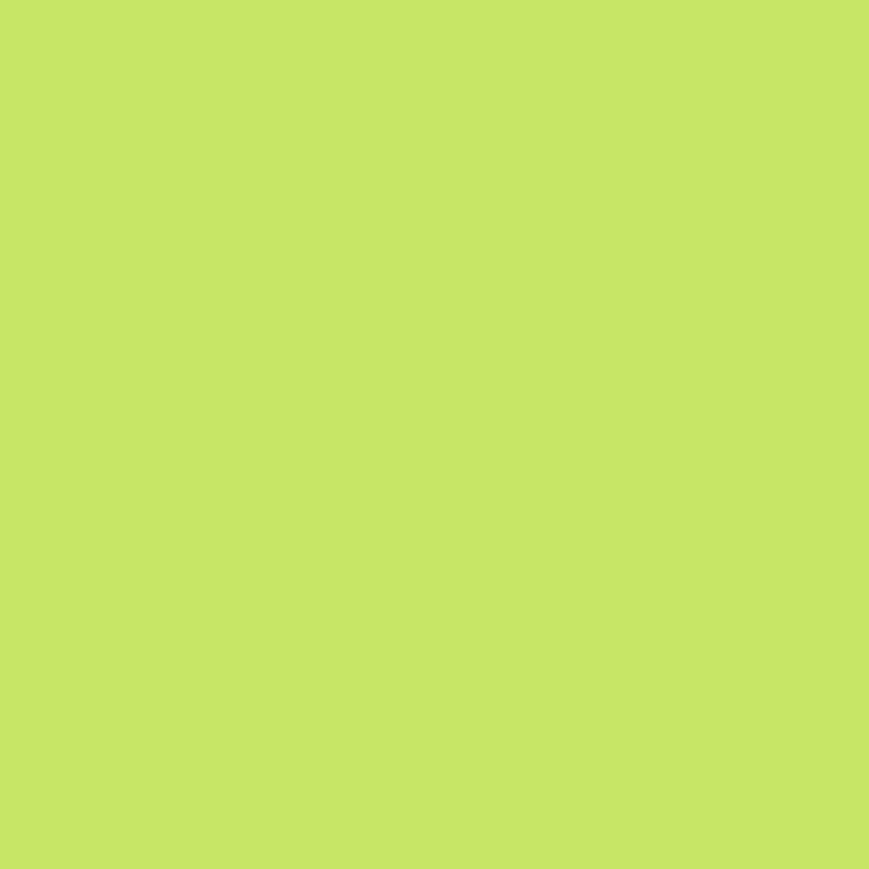 DMC Stranded Cotton 100g Cone 907 Parrot Green Lt (Art 5214)